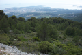 29_paysage