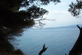 50_paysage