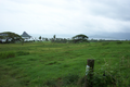 38_lanscape