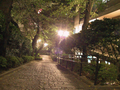 09_rues