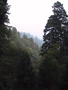 14_landscape