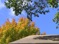 01_roof