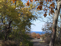 03_Halibut_point