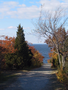 05_Halibut_point