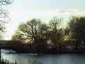 08_Tree