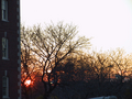 15_Sunset