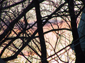 01_sunset