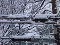 02_wires
