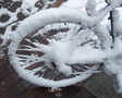 photo de la gallerie Neige
