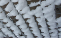 09_grid