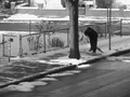 01_neige