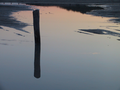 06_reflet