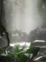 08_tropical