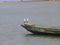 11_Couple