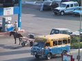 01_cheval_et_bus