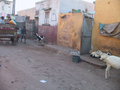 05_rue