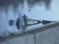 10_reflet
