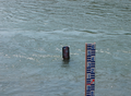 20060412_arashiyama_01