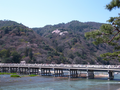 20060412_arashiyama_02
