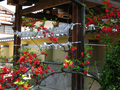 20060412_arashiyama_05