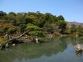 20060412_arashiyama_09