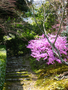 20060412_arashiyama_10