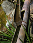 20060412_arashiyama_11