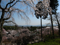 20060412_arashiyama_13