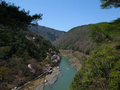 20060412_arashiyama_17