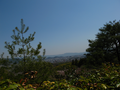 20060412_arashiyama_19