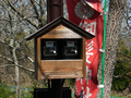 20060412_arashiyama_21