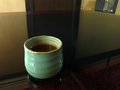20060412_arashiyama_22