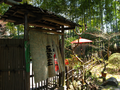 20060412_arashiyama_25