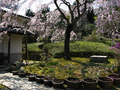 20060412_arashiyama_27
