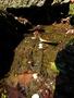 20060412_arashiyama_31