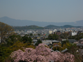 20060412_arashiyama_33
