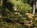 20060412_arashiyama_34