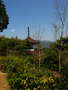 20060412_arashiyama_36