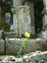 20060412_arashiyama_38