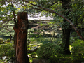20060412_arashiyama_45