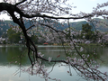 20060412_arashiyama_50