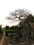 city_20060412_03