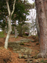 20060414_escaliers_08