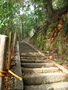 20060414_escaliers_10