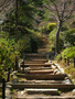 20060414_escaliers_14