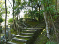 20060414_escaliers_16