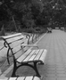 garden_20060416_01
