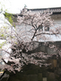 garden_20060416_05
