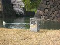 garden_20060416_06