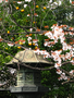garden_20060416_07